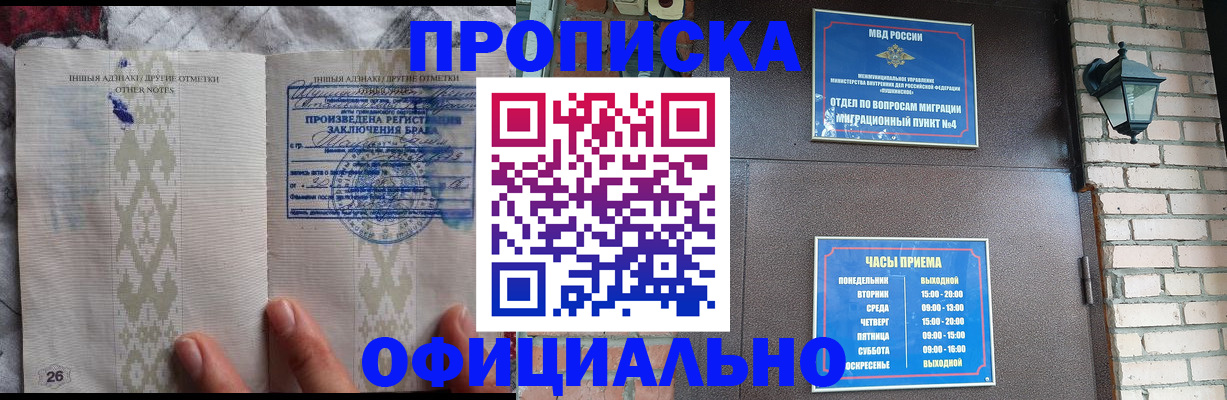 прописка поиск в Чистополье